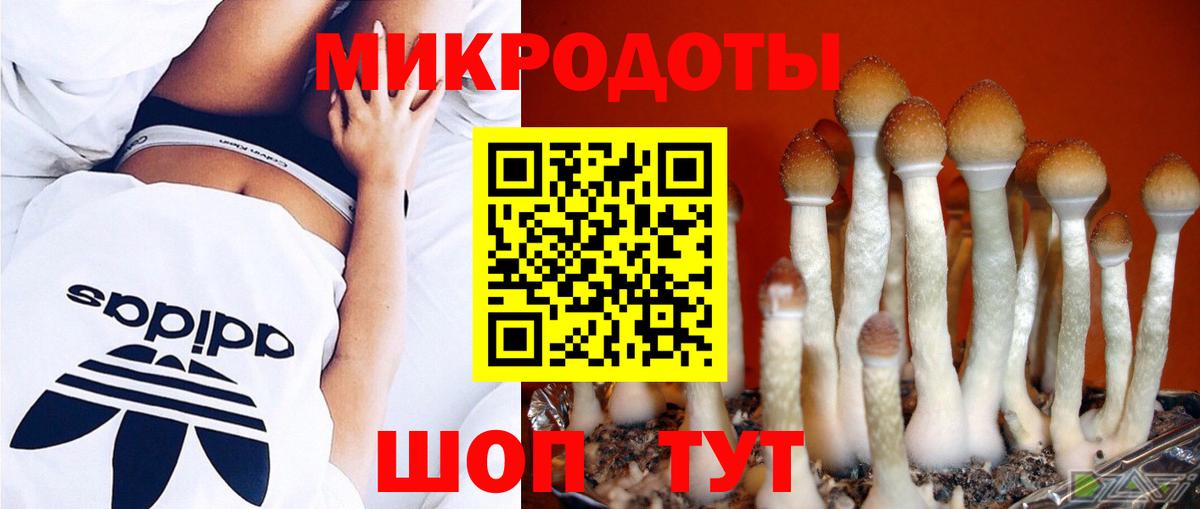 Железногорск  купить наркотики сайты  Вход с VPN  Галлюциногенные грибы Psilocybine cubensis 